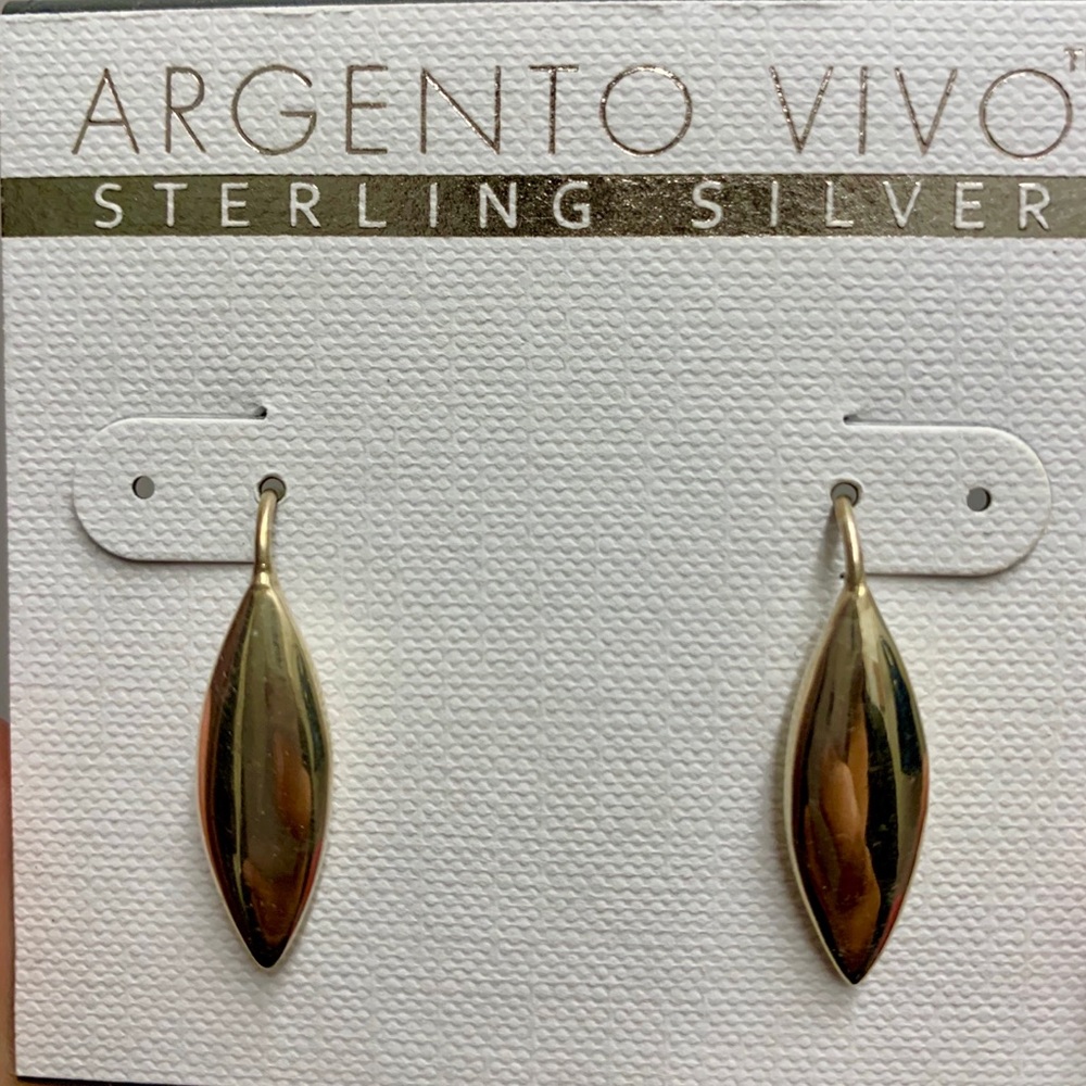 Argento Vivo Silver Earrings